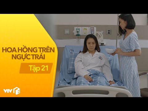 Video Hoa Hồng Trên Ngực Trái - Tập 21 | Đời, khổ gì khổ dữ... - youtube