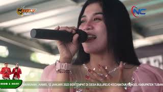 Download Lagu Prawan Kalimantan | Yanti Mahardika - Pak Dhe Kethut || Triaz Music - BRJ PRO AUDIO MP3 Download Lagu Prawan Kalimantan | Yanti Mahardika - Pak Dhe Kethut || Triaz Music - BRJ PRO AUDIO MP3