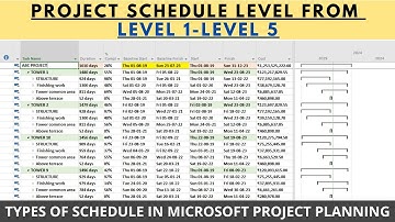 Types of Schedule in MSP | Levels of Schedule Level 1 - Level 5 | What are Schedule Levels ?