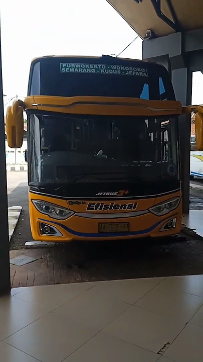 RUTE TERBARU BUS EFISIENSI JURUSAN PURWOKERTO WONOSOBO SEMARANG JEPARA #busefisiensi #busmania