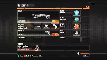 Black Ops 2 - Remington Class Set Up - Best Set Up