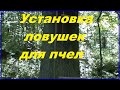 Установка ловушек для роев