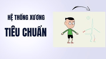 Hệ Thống Xương Đúng Tiêu Chuẩn Cho Nhân Vật Hoạt Hình Trong Moho