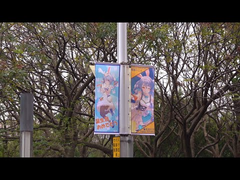 公園でぺこらの旗が大量！？ So many Pekora flags in the park!? Σヽ(ﾟД ﾟ; )ﾉ