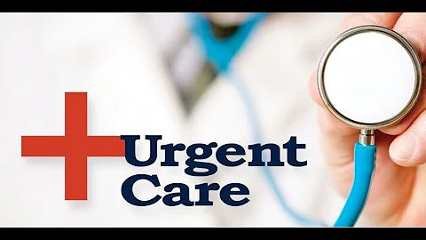Interview with Dr. Michele Lindsey MD.