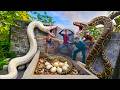 Brave Expert Rescues Young Girl from Giant White Python in Abandoned House.