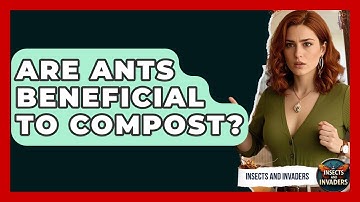Are Ants Beneficial To Compost? - Insects and Invaders