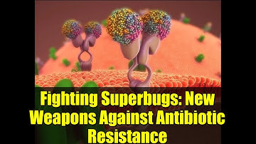 Fighting Superbugs: New Weapons Against Antibiotic Resistance