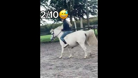 Abonniert gerne💕