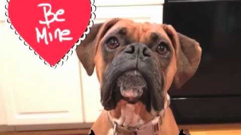 Create e-cards using photos, drawings, animations and sound on your iPhone using Doink Express App