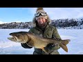 Lake Trout for Dinner | Alaska&#39;s Public Use Cabins