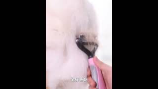 Pet Deshedding Brush