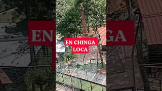 CAMINO REAL DEL TIGRE MAZAMITLA JALISCO