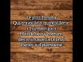 Le ptit tommy lyrics les cowboys fringants les nuits de repentigny