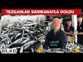 Tekirdağlı balıkçı, Marmara açıklarında 20 ton sarıkanat yakaladı!