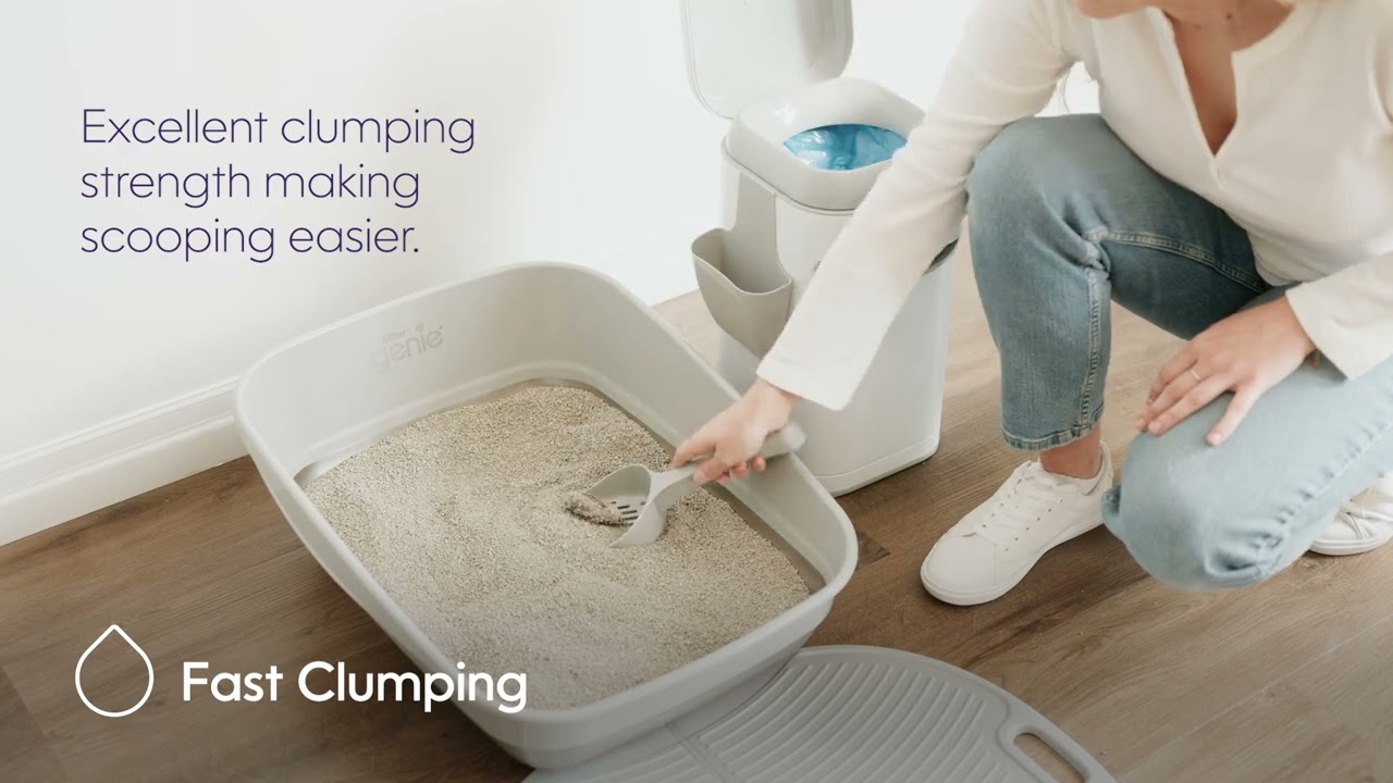 Cat Litter-US-EN-10