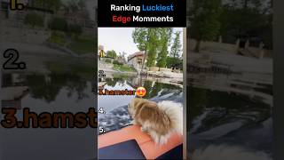 LUCKIEST EDGEY MOMMENTS 😱🥶 #lucky #fyp #fypシ #viral #momments #superlucky #top5 #best