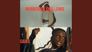 Mannequin Challenge