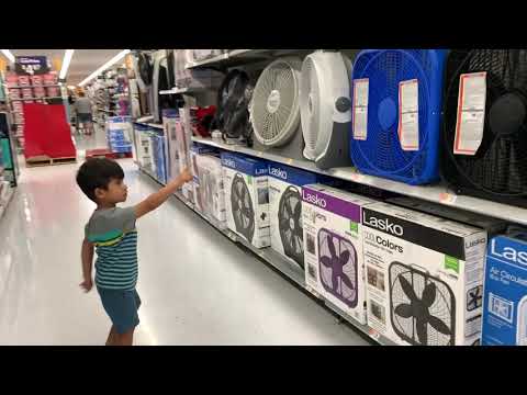 collections-of-fan-at-walmart,-toddler-shopping-for-collection-of-fans