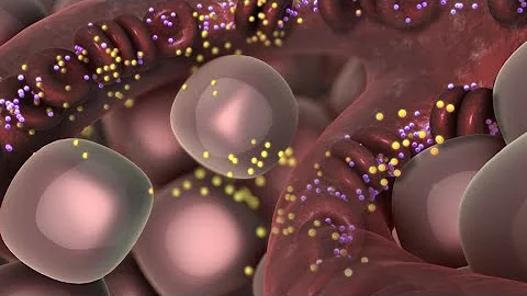 Come si diagnostica il diabete tipo 1?
