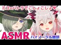 【ASMR/雑談】両耳から二人でこしょこしょおしゃべりしちゃう！Whispering Soft Talking, Relax【周防パトラ ×堰代ミコ】