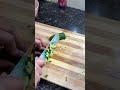 Lunch Sala #trending #food #recipe #cooking #healthy #salad #shortvideo #shorts #trendingshorts