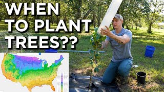 Optimal Tree Planting Time Based on Hardiness Zones