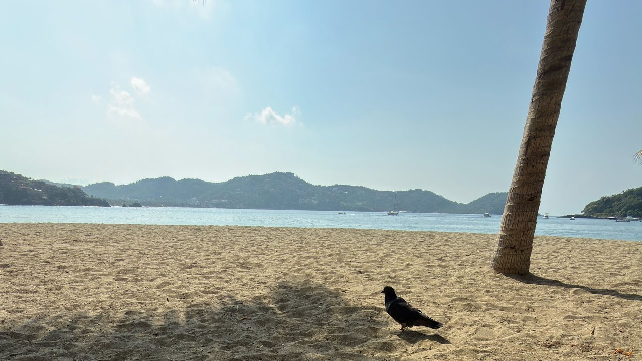 El error no está en la forma 