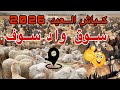 إقبال فوق المتوقع للتجار الماشية بالجملة على سوق الوادي أسعار العلوش وكباش العيد 2026 في تغطة خاصة