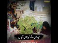 Eidaa te Shabrataa aiyan o ni ay muhammad bakhshah jere ap hathi dafnay