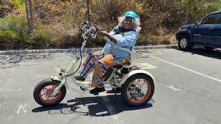 This ETrike Rides Like a Recliner! The Simple Glide Fat Tire Electric Trike is Game Changer! screenshot 5
