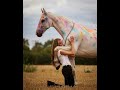 Rainbow || Equestrian Music Video