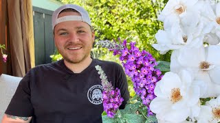 My Favorite Plants To Attract Pollinators || Visit Our Garden