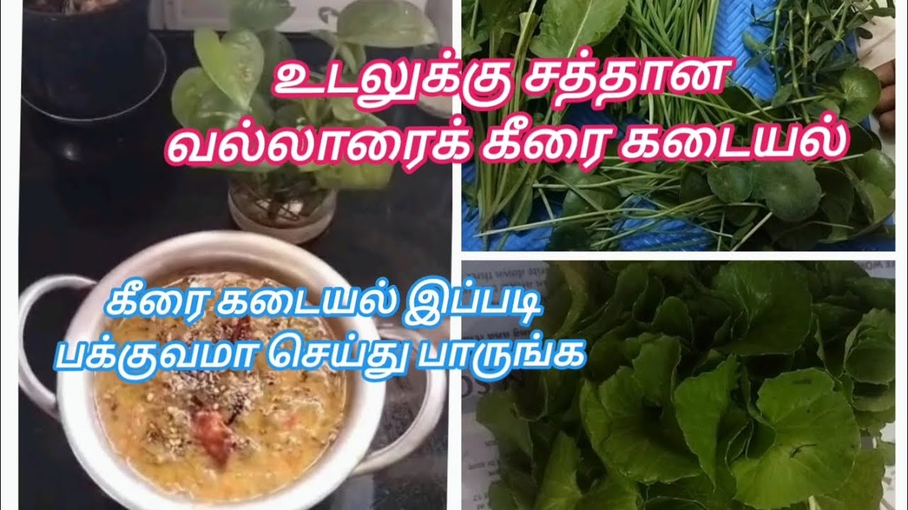 கீரை கடையல் இப்படி பக்குவமா செய்து பாருங்க/Spinach Recipe in Tamil