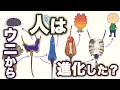 人はウニから進化した？　異説カルシコルダータ説　地球の歴史　その１３５