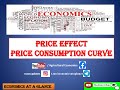 Lecture 25. Price effect#Definition#schedule#Graph