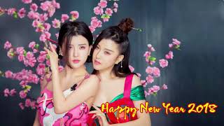 Full Chinese New Year Song 2018 100首传统新年歌 歡樂新春 2018 CNY 2018 Nonstop Full Album Guide