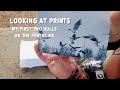 Looking at prints | My first two rolls on the Pentax MX