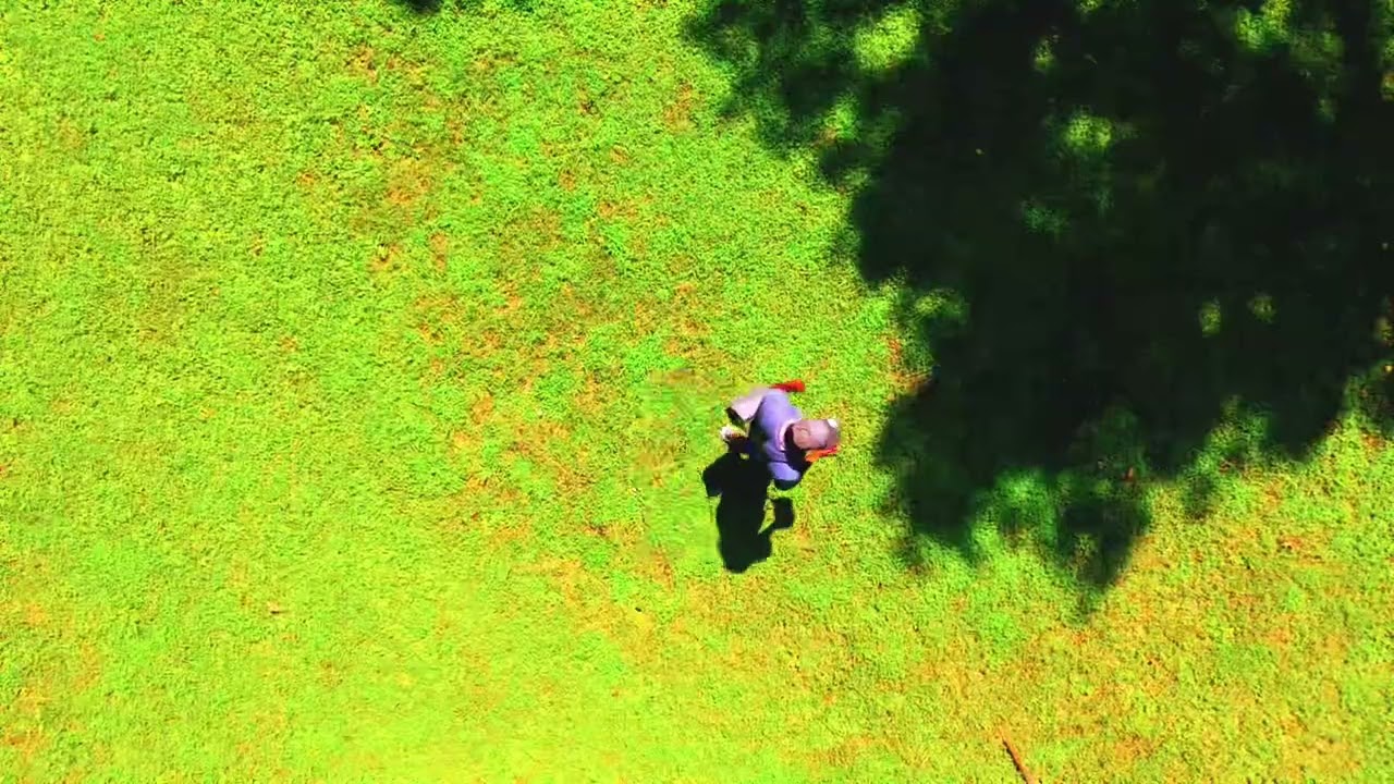 Beautiful park for tree lovers Adair Park 