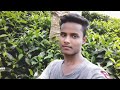 Arma jage fida huye fana huye tere piyar mein Whatsapp Status Video Download Free