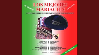 Video thumbnail of "Mariachi Vargas Jr., Mariachi Mexico Y Otros - Armillita"