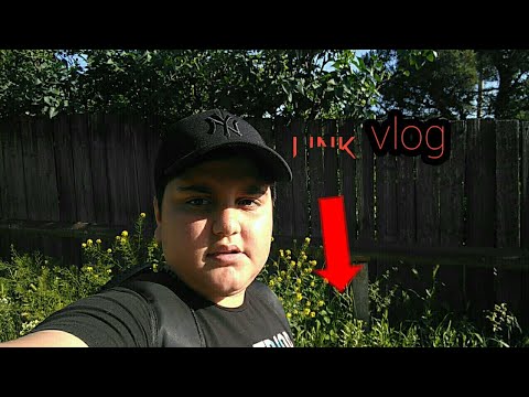 Vlog piari ლინკი აღწერაშია