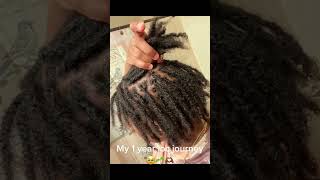 My 1 Year Loc Journey #locs #1yearlocd #locjourney #locgrowth #locinfluencer  #starterlocs
