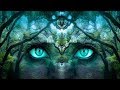 New Age Music: Relaxing Music; Reiki Music; Yoga Music; Relaxation Music; Spa Music; 🌅