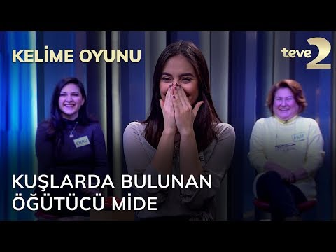 Kelime Oyunu: Kuşlarda bulunan öğütücü mide