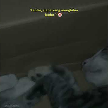 STORY WA SAD 30 DETIK || LAGU AKU HANYALAH BADUTMU 🤡.