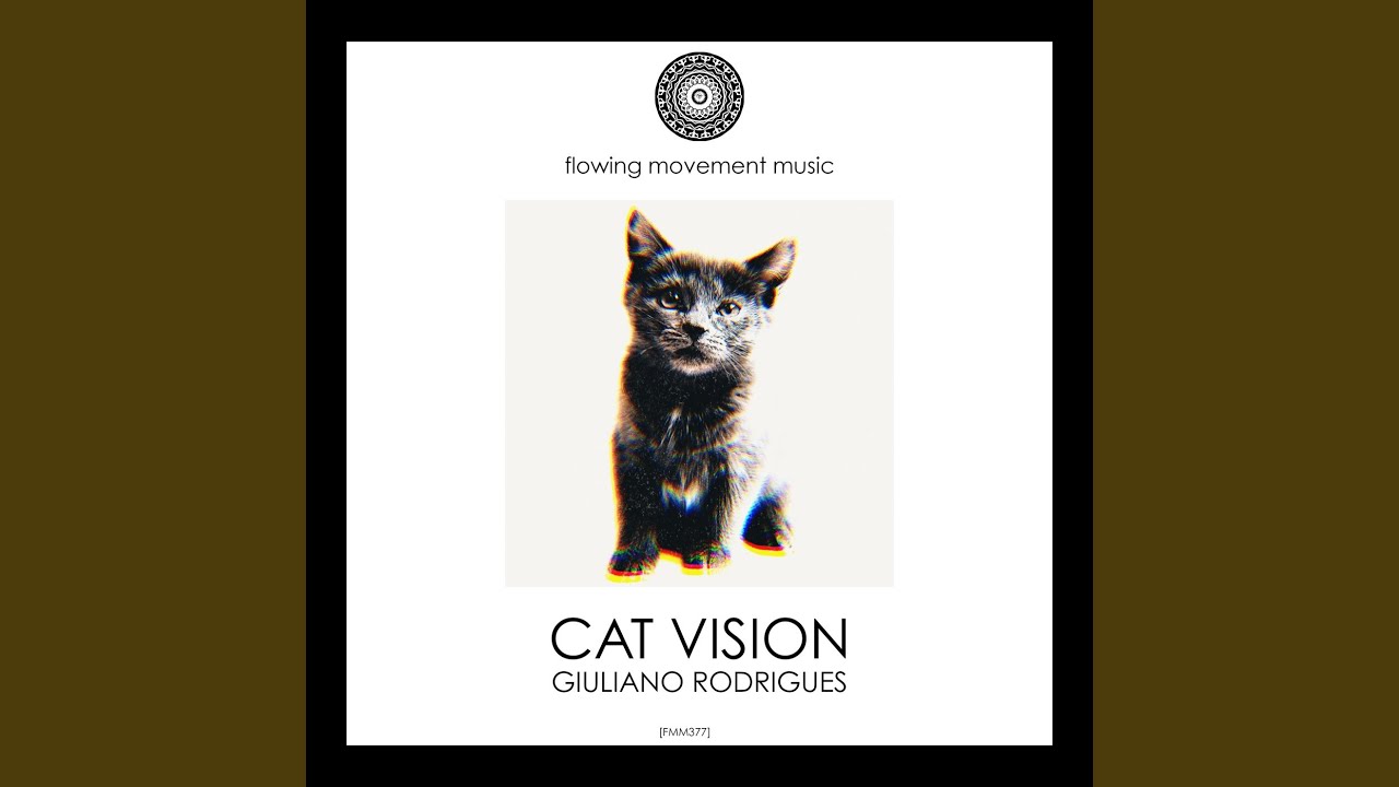 Watch Cat Vision on YouTube Watch Cat Vision on YouTube