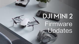 DJI Mini 2 | How To Update the Firmware screenshot 5