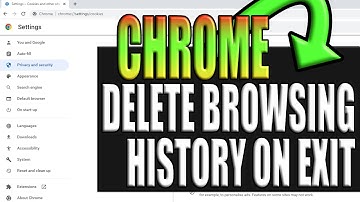 Automatically Delete Chrome Browser History At Exit Easy Tutorial 2024 #shorts