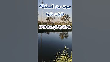 صوت من السماء 42 # تلاوة نادرة #قرآن #قران_كريم #قران #قرآن_كريم #اكسبلور #الشيخ مبارك  #الشيخ